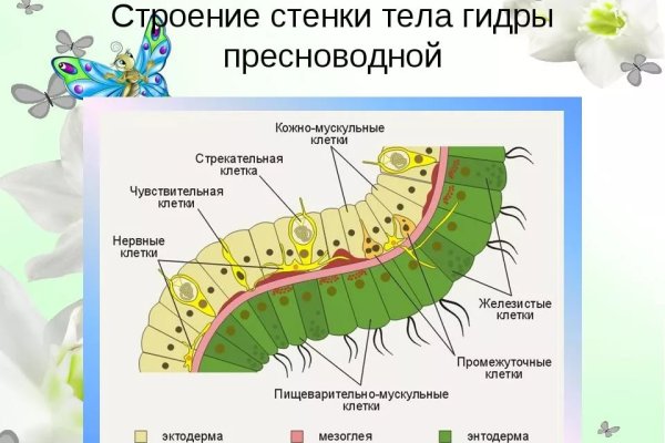 Кракен в россии наркотик