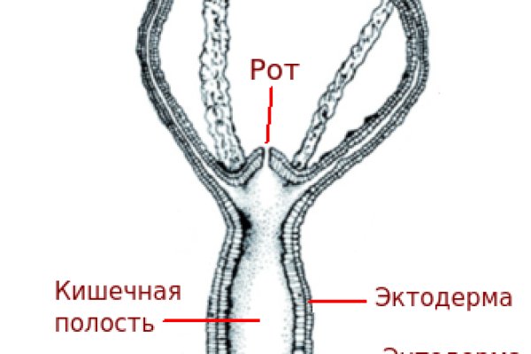 Кракен актуальная