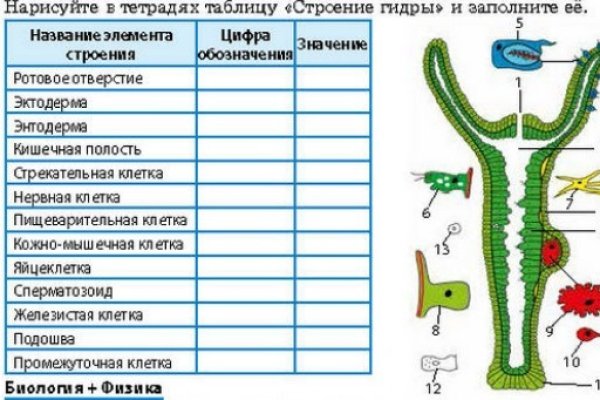 Как войти в кракен через тор