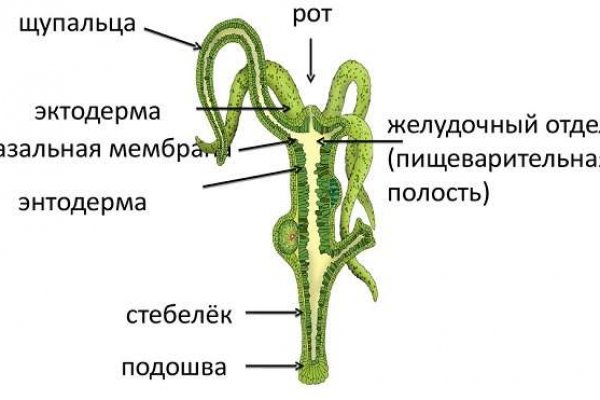 Кракен дарк шоп