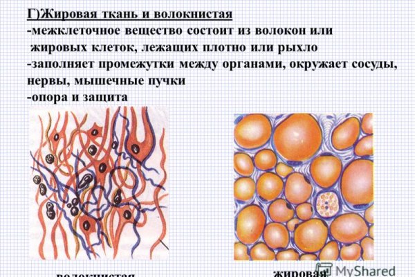 Кракен действующая ссылка