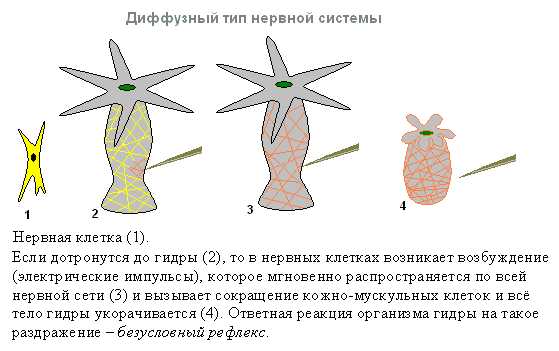 Как войти на сайт кракен